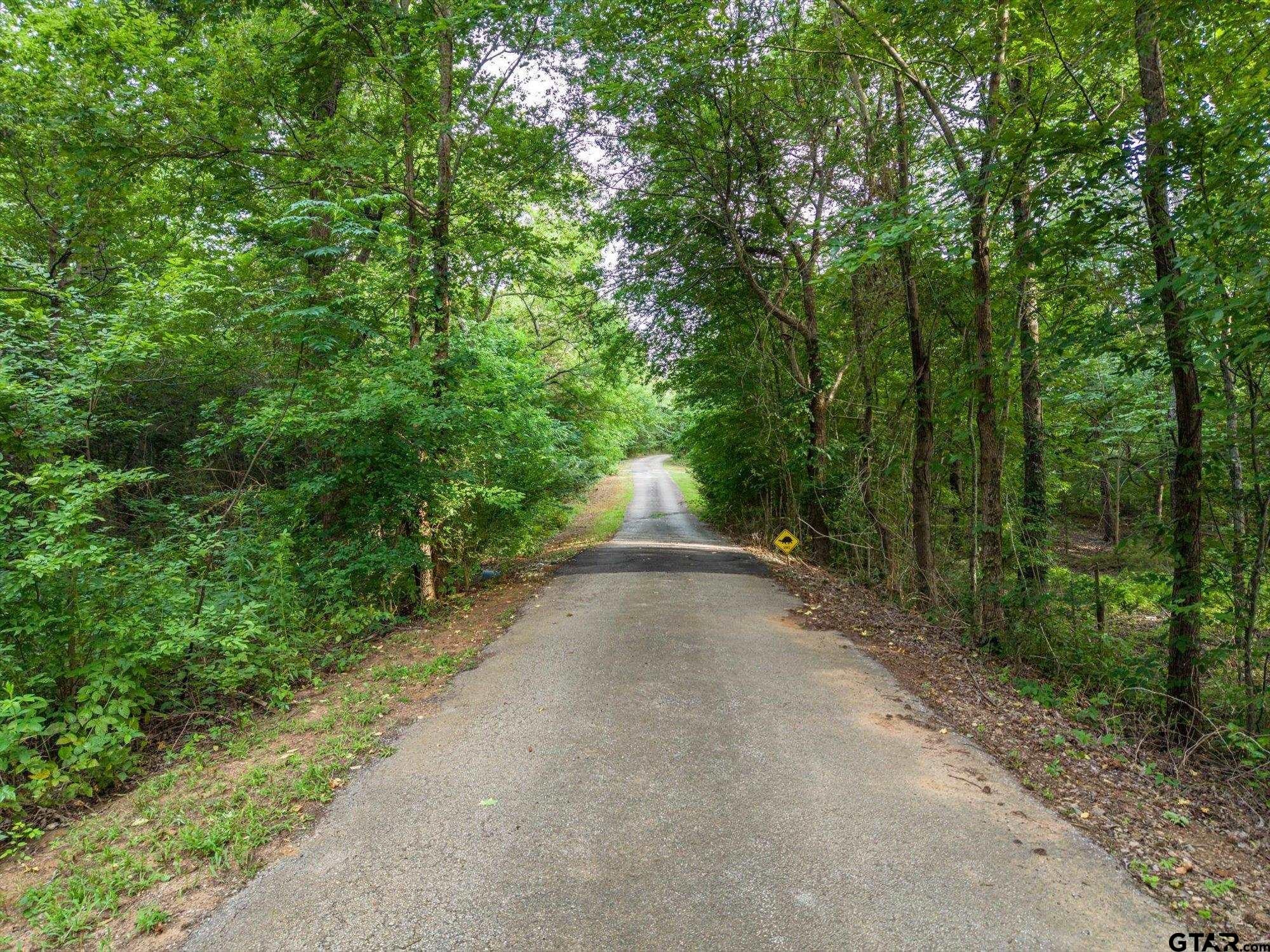 16384 County Road 440 — photo