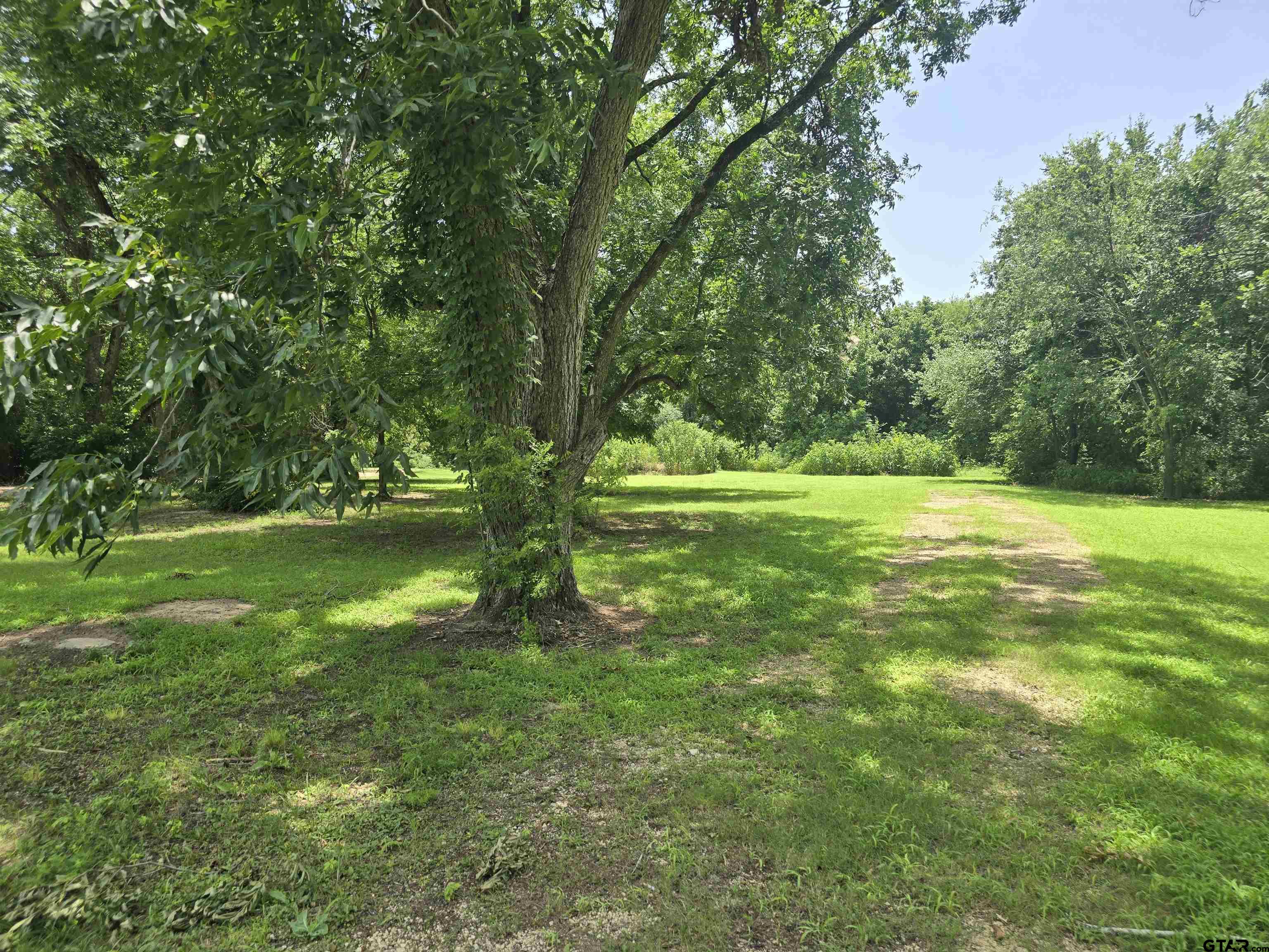 TBD Carson, Pittsburg, TX 75686 — photo 2