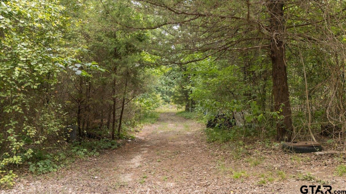 404 Pr 6227 — photo