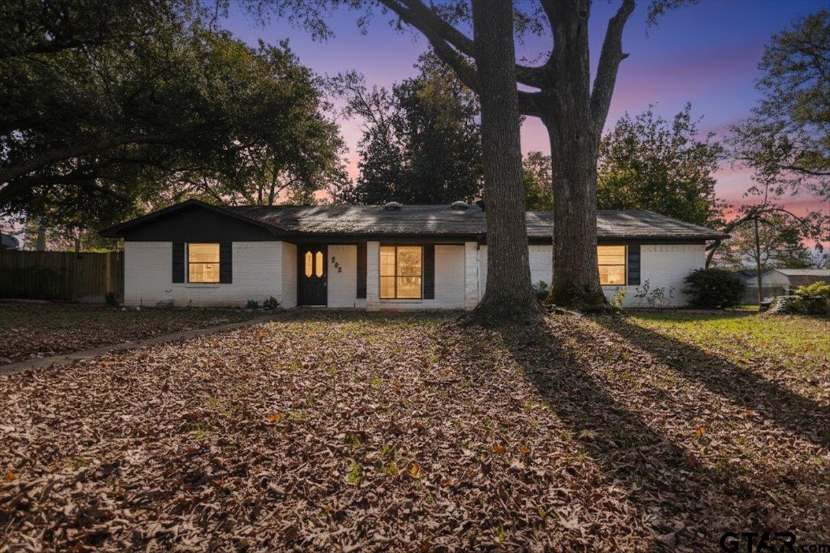 903 Joel — photo