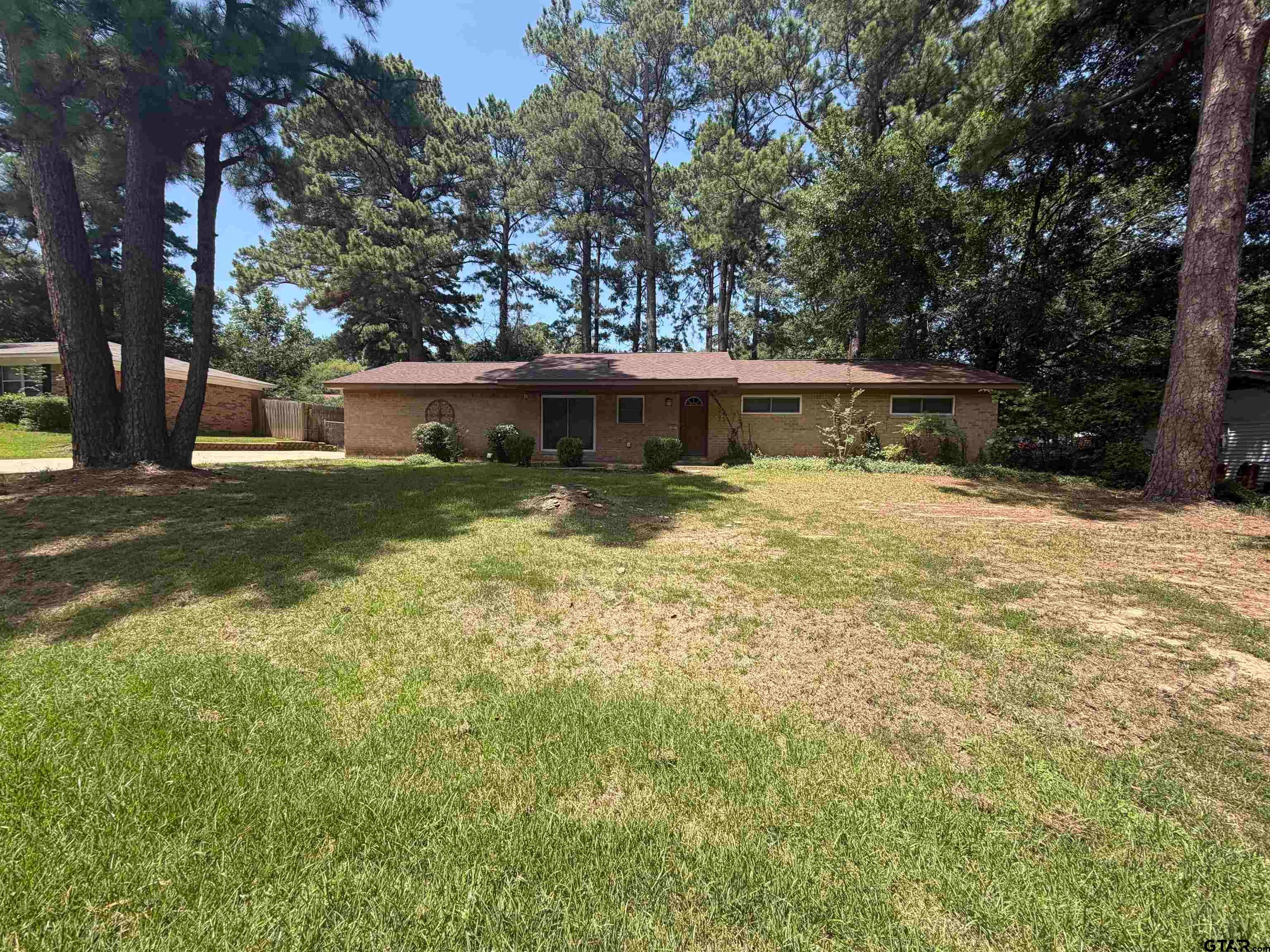 307 Ralph — photo