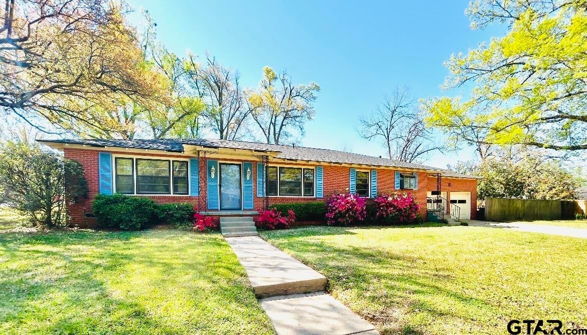 919 Wilma — photo