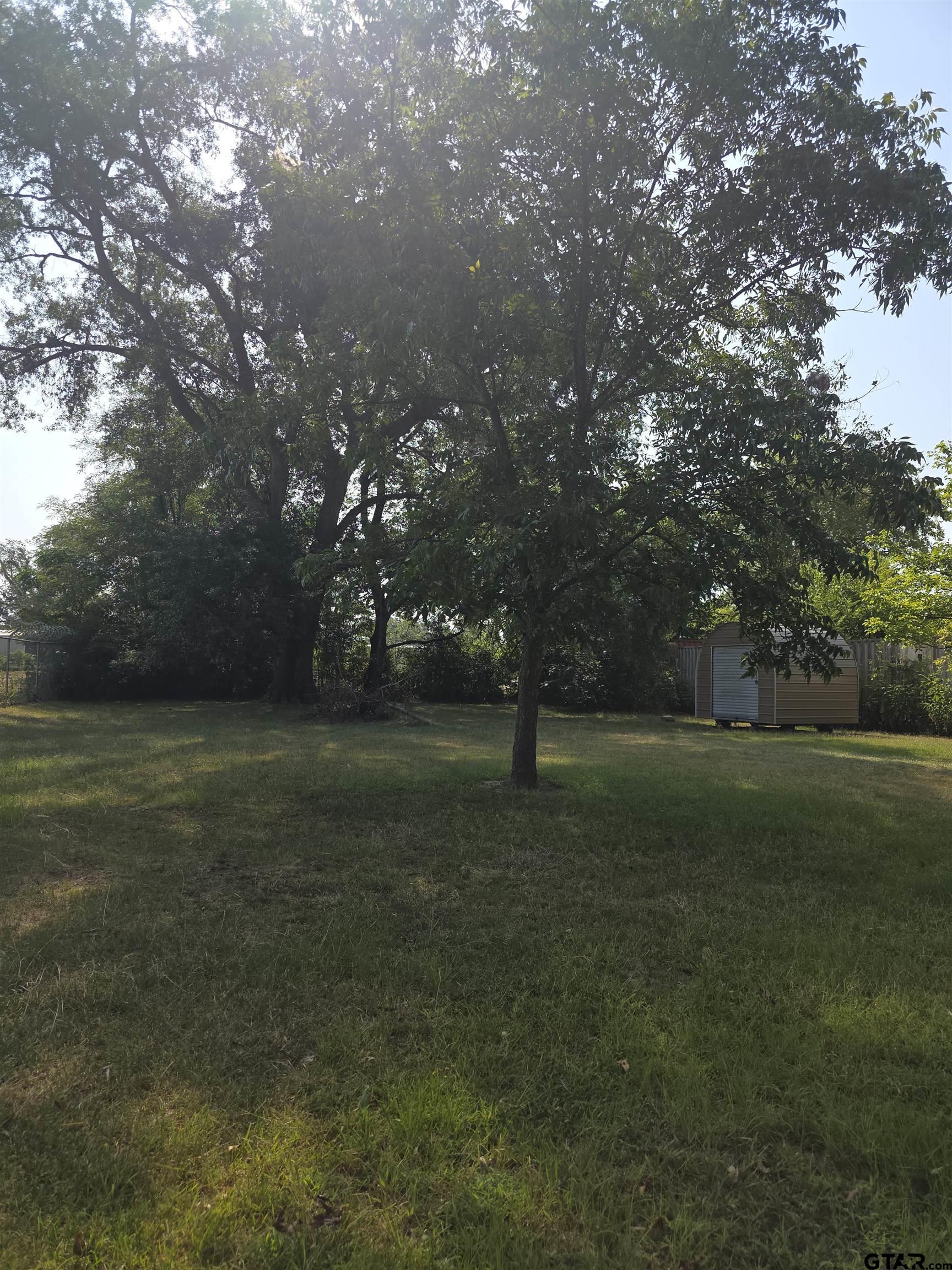 210 Mill, Pittsburg, TX 75686 — photo 3