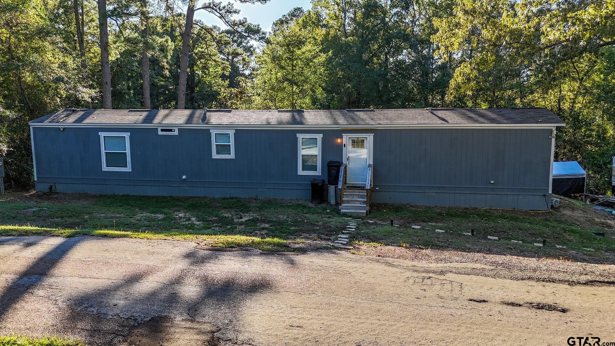 215 Pine Tree — photo