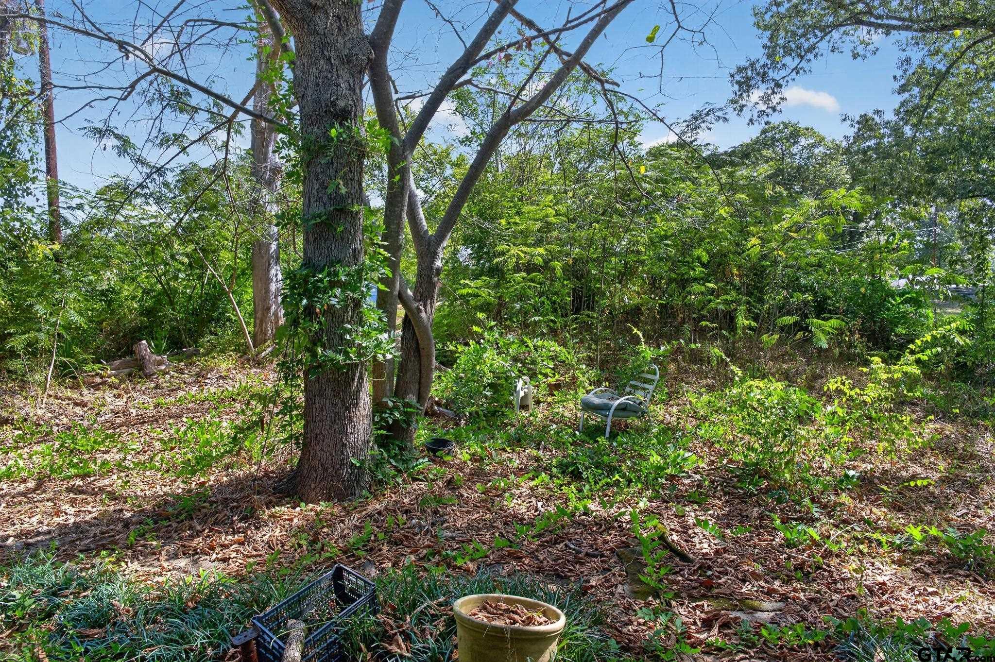 3225 Jackson, Tyler, TX 75705 — photo 2