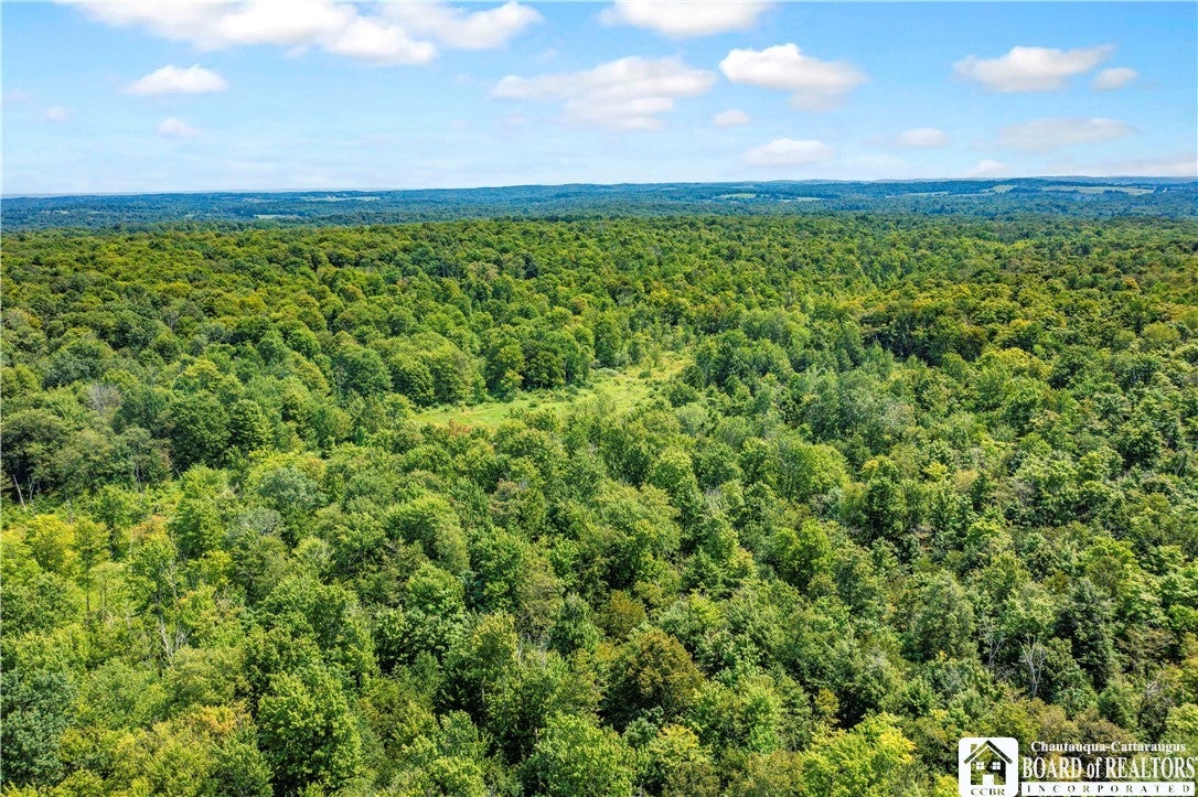 5184 Route 76, Ripley, NY 14775 — photo 3