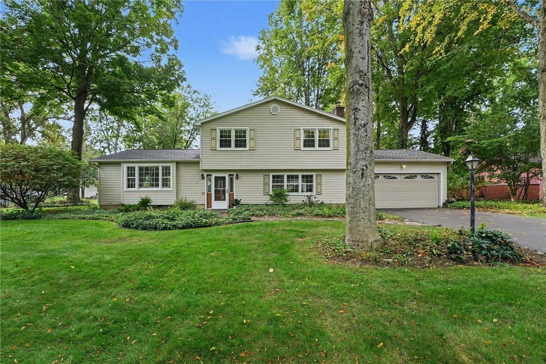 11 Tall Tree Ln — photo