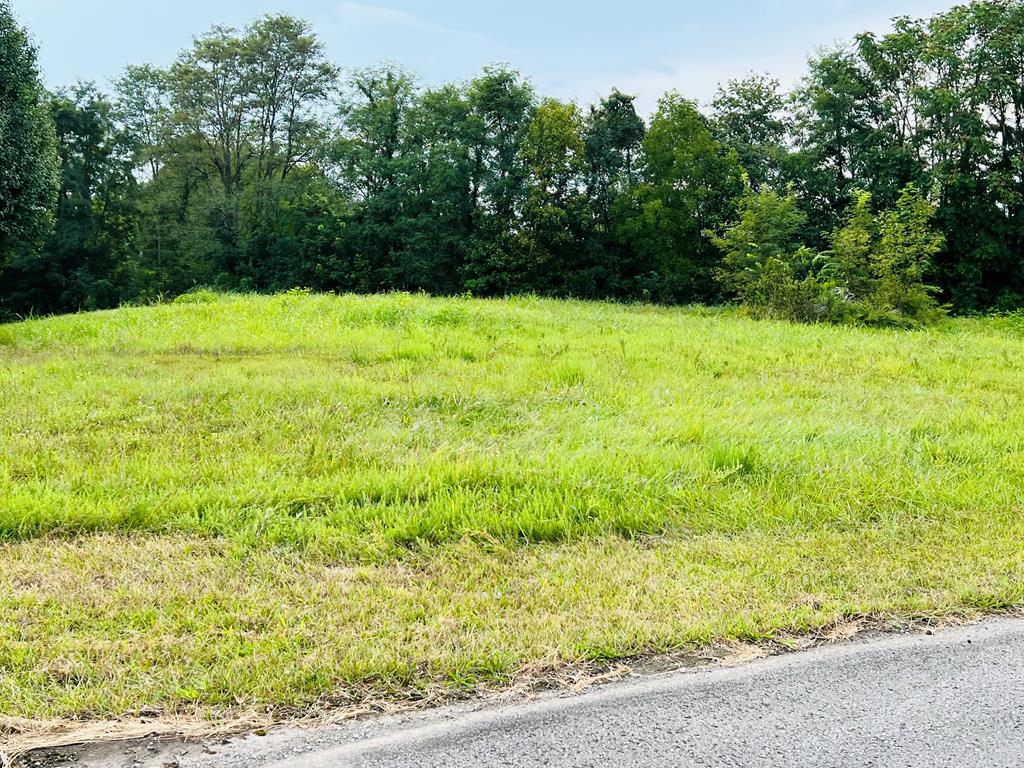 1.51 Ac Maple St — photo