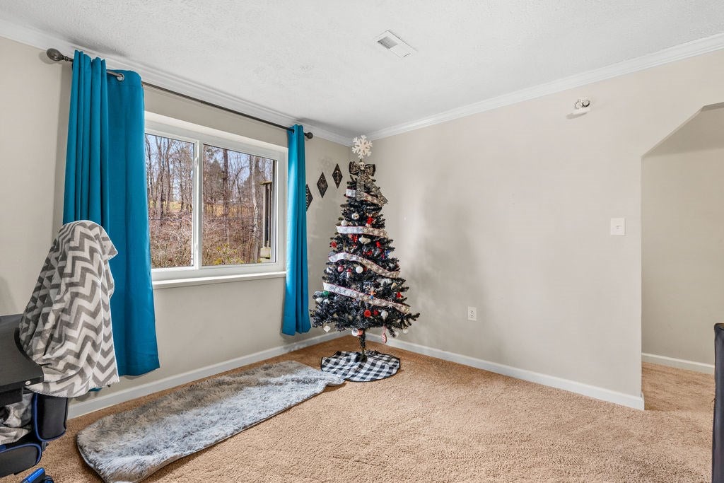 250 Mcdeerman Road, Other, TN 37757 — photo 3