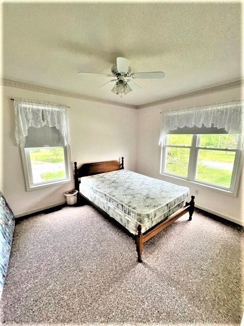 550 Meadows Rd, Sparta, TN 38583 — photo 3