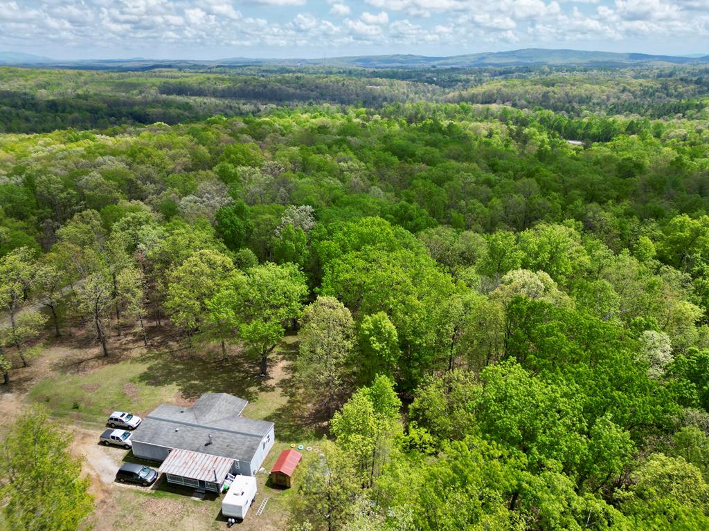 751 Ozone Access Road — photo