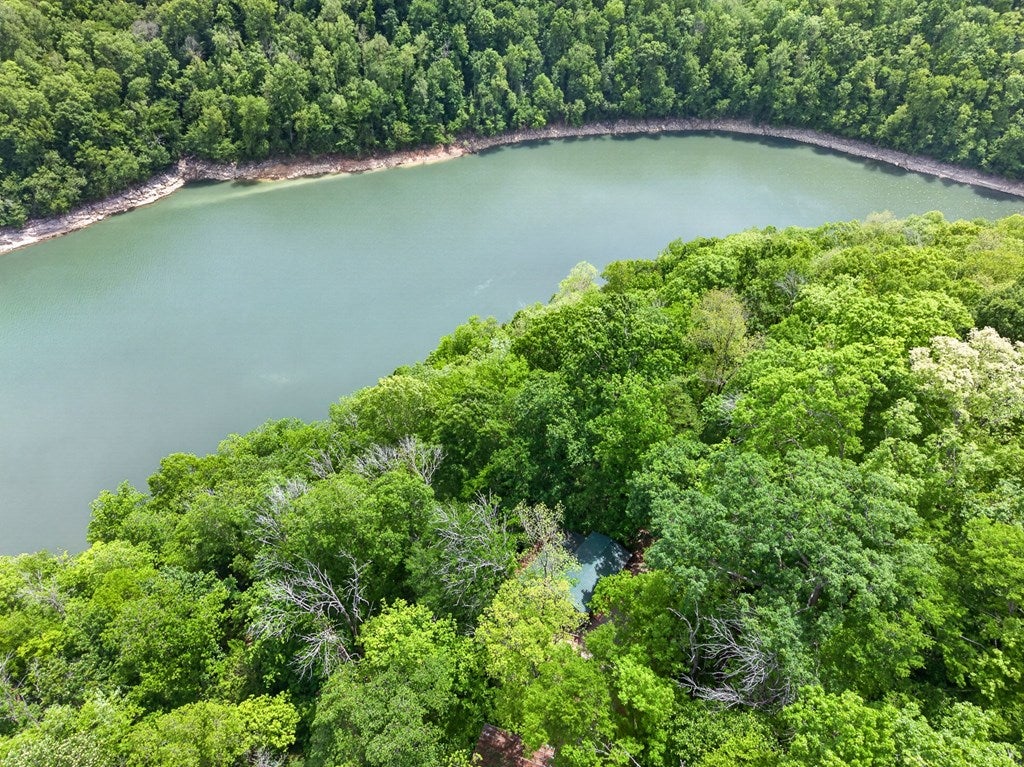 8045 Sarah Thomas Road, Silver Point, TN 38582 — photo 2