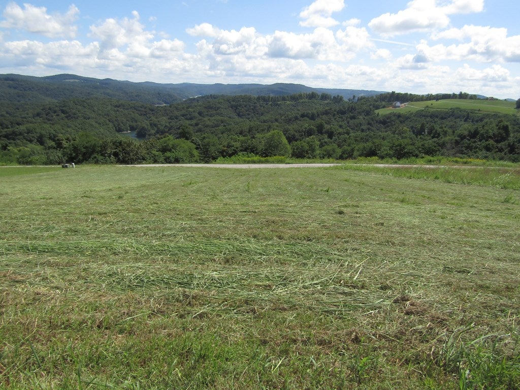 48 E. Swan Ridge Rd, Hilham, TN 38568 — photo 2