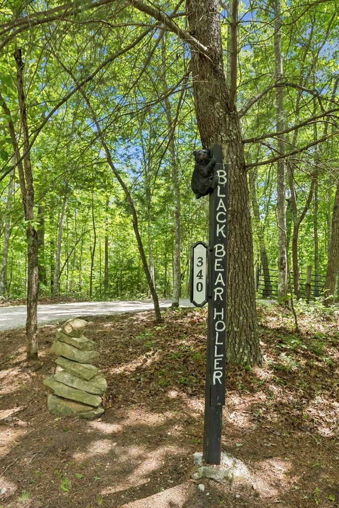 340 Doe Ridge Rd, Oneida, TN 37841 — photo 2