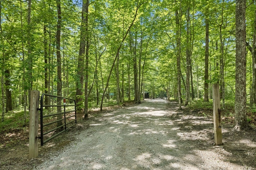 340 Doe Ridge Rd, Oneida, TN 37841 — photo 3