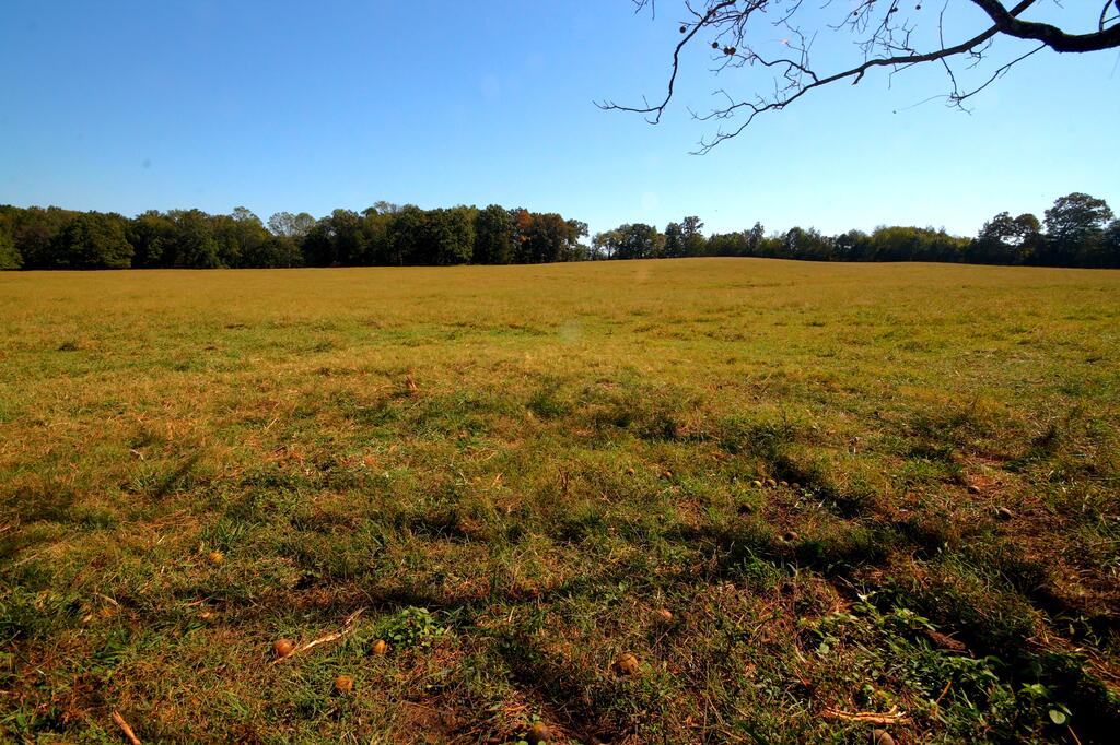 5519 Old Kentucky Rd. — photo