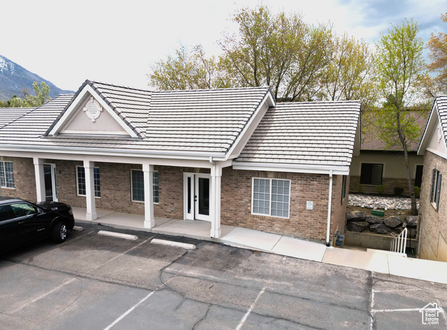 64 E Red Pne — photo