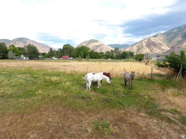 333 W Maple St., Mapleton, UT 84664 — photo 2