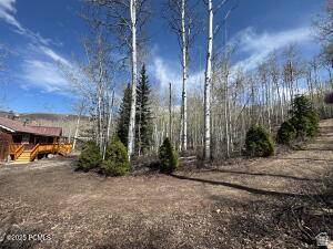 10737 E Tanglewood Dr #630 — photo