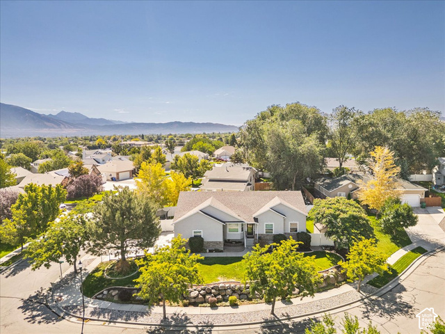 3331 W Olive Tree Cir #309 — photo
