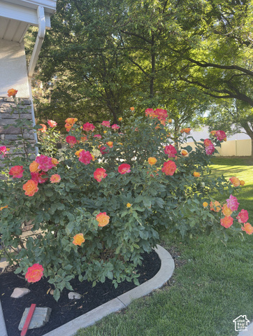 162 E Rockey Ln., Draper, UT 84020 — photo 3