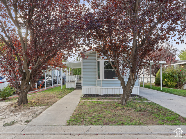 11314 S Hidden Vale Ln #218 — photo