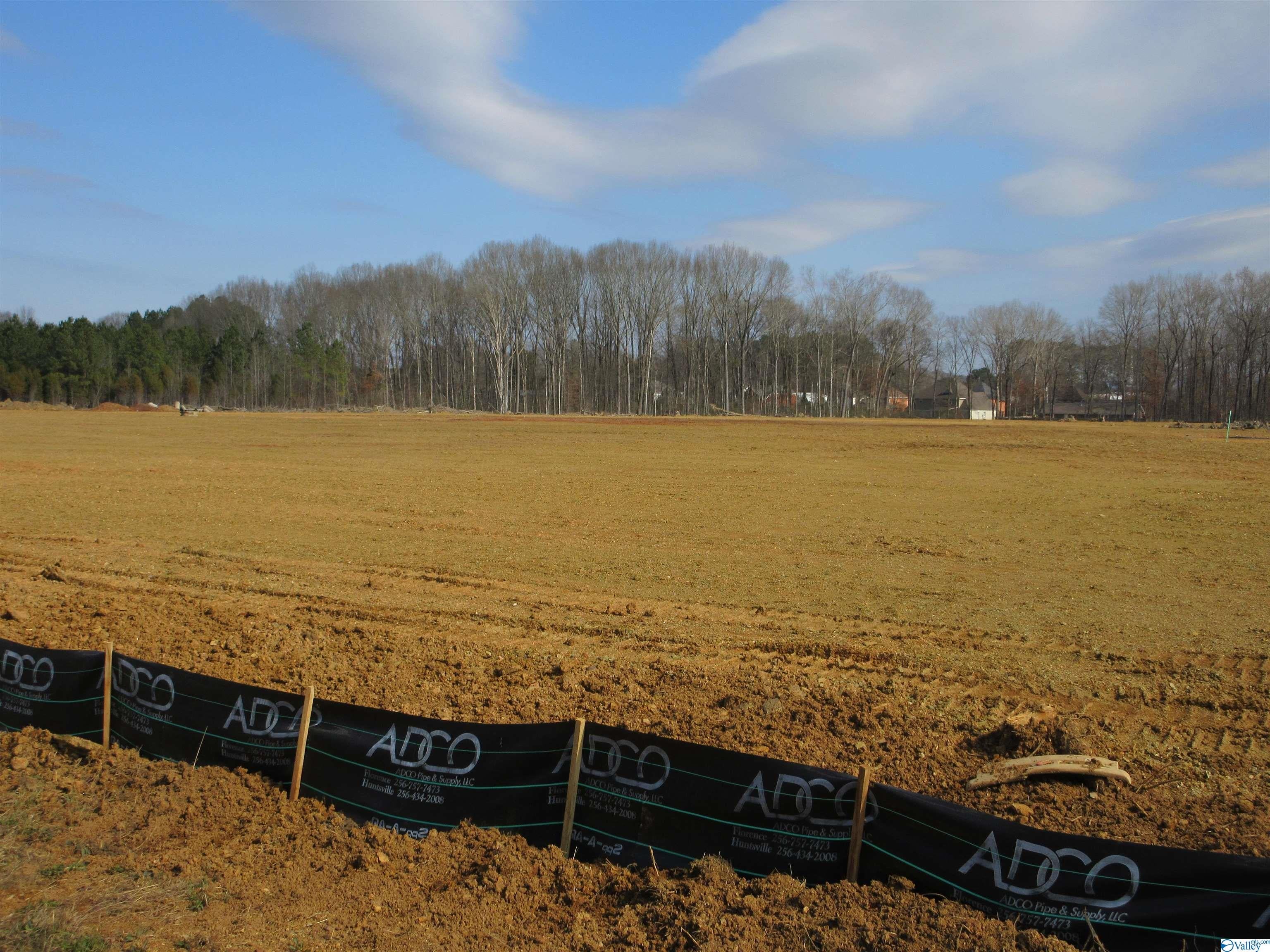 Scottsboro, Ala Highway 72 — photo