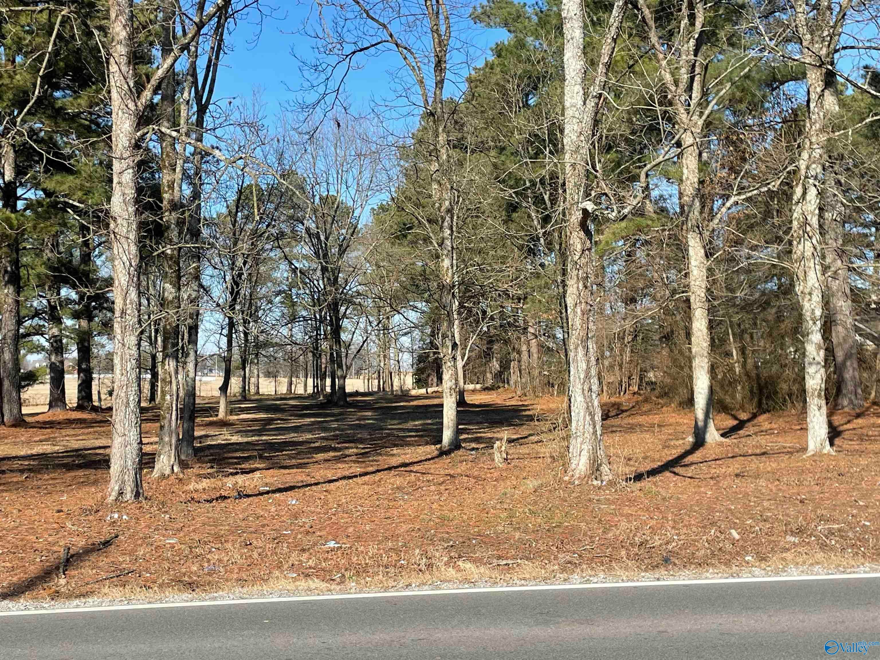 12597 Highway 72 — photo