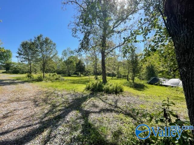 Home in Crossville, AL 35962 — photo 3