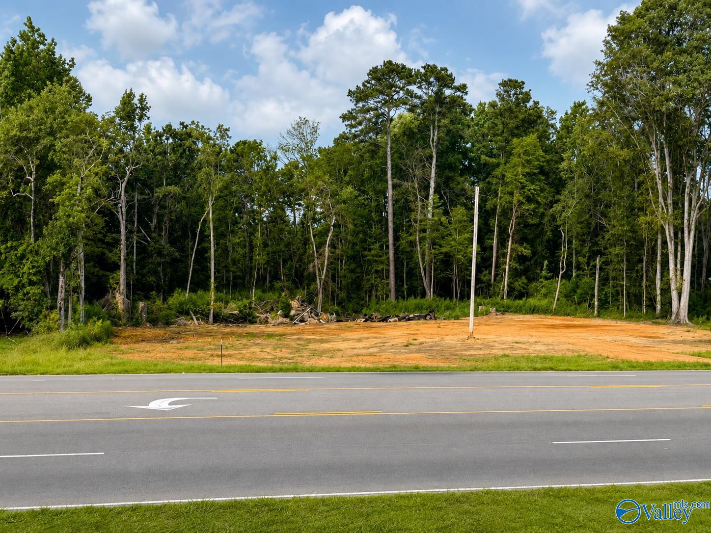 2.1 Acres Chestnut Bypass — photo