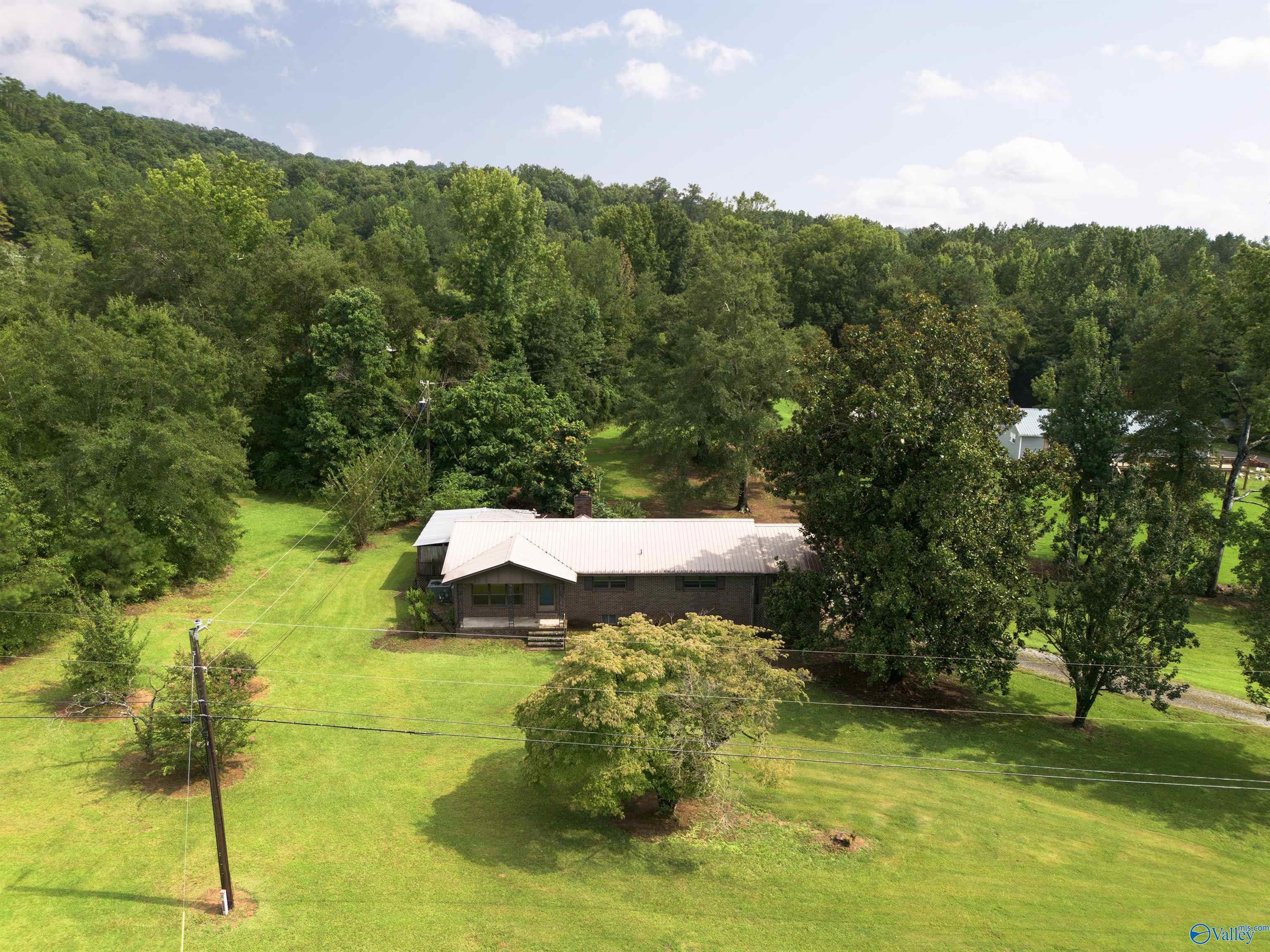 9950 Alabama Highway 91 — photo