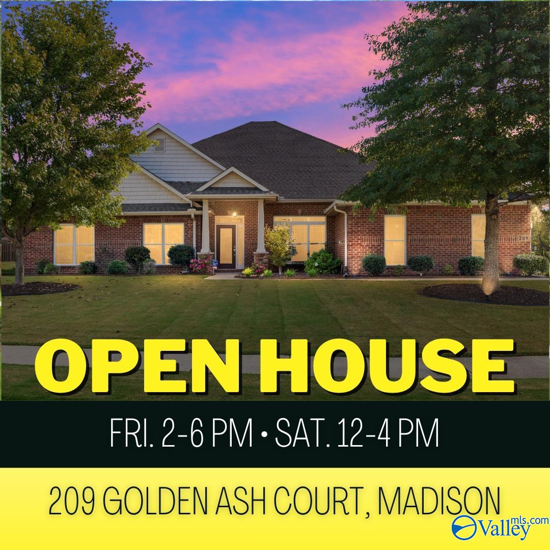209 Golden Ash Court — photo