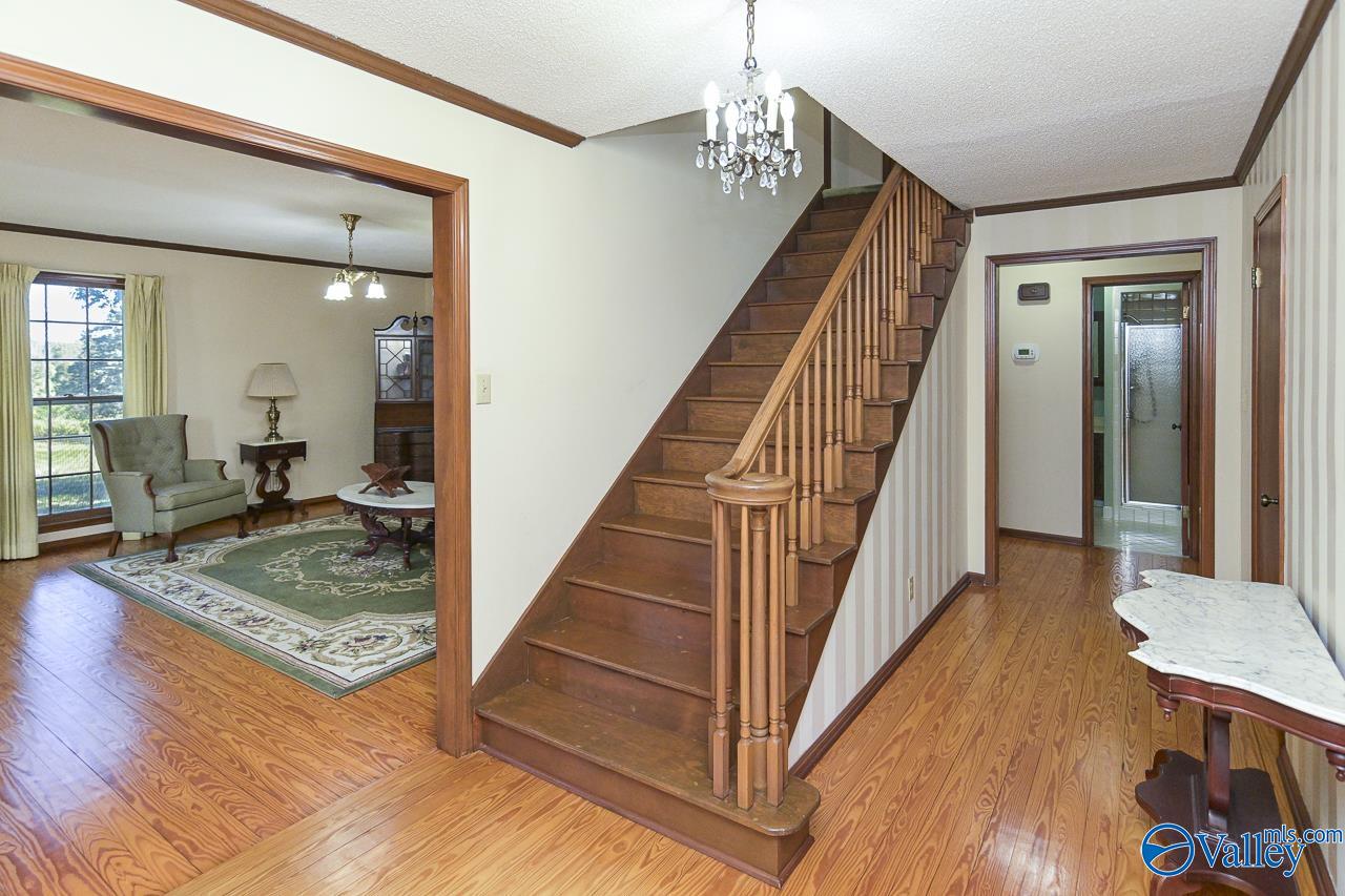 278 John Johnson Road, Trinity, AL 35673 — photo 2