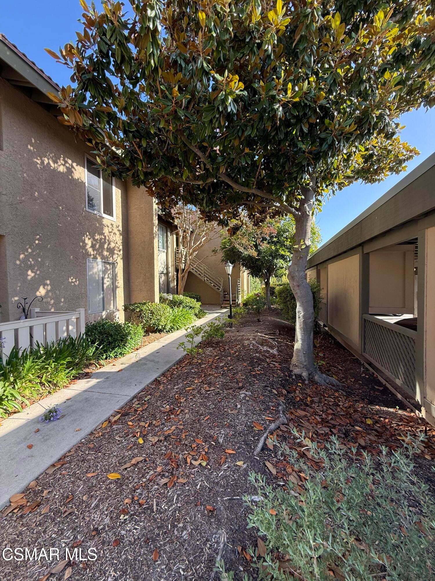 460 Arbor Lane Court 203 — photo