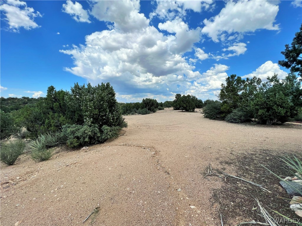 2336 S Rease Road, Kingman, AZ 86401 — photo 2