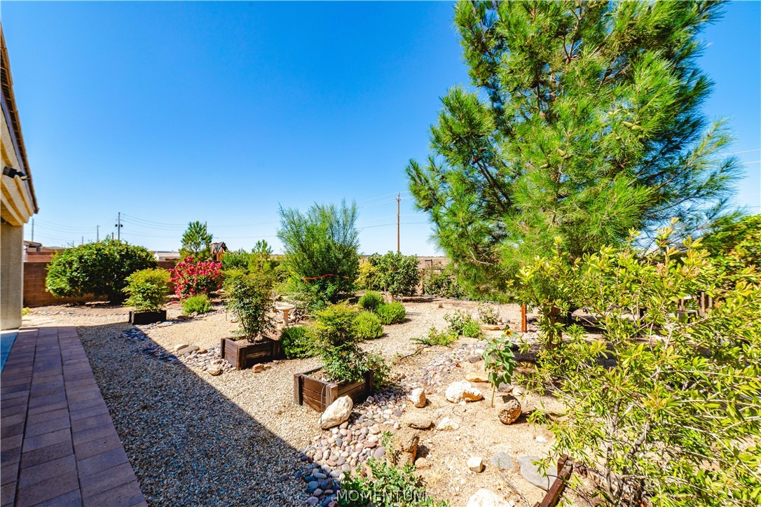 3315 Monte Moro Street — photo