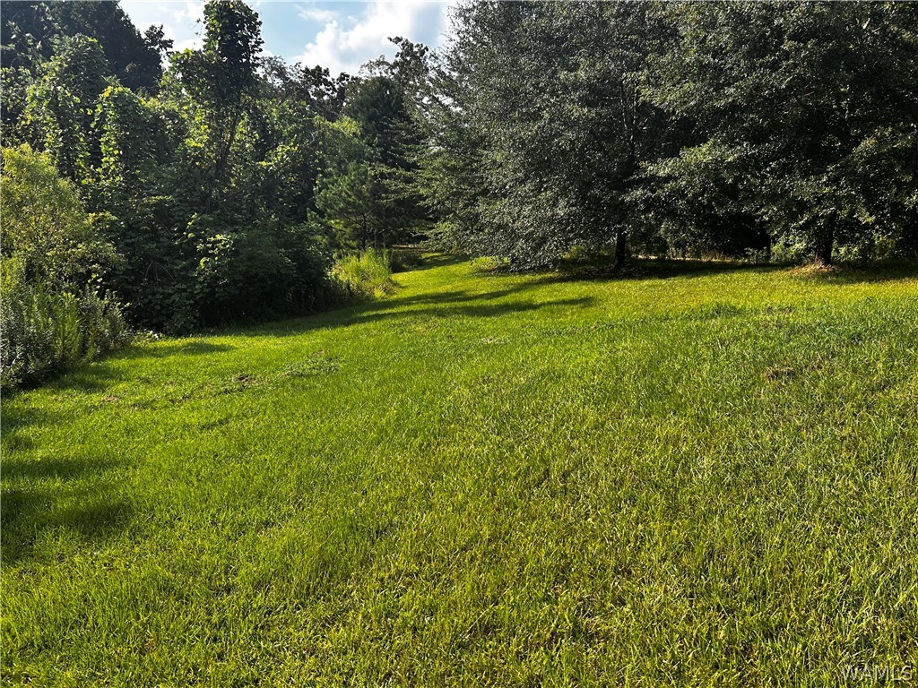 3201 County Rd 49, Reform, AL 35481 — photo 2