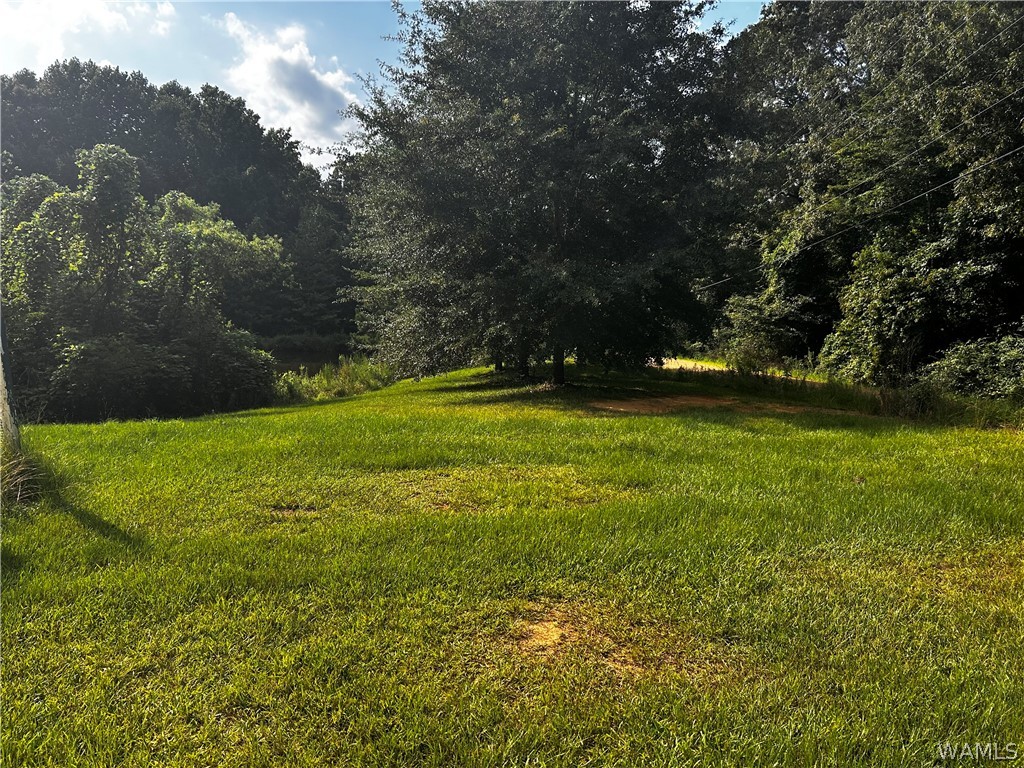 3201 County Rd 49, Reform, AL 35481 — photo 3