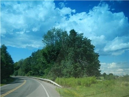 0 Hwy 258 Butler Pike — photo