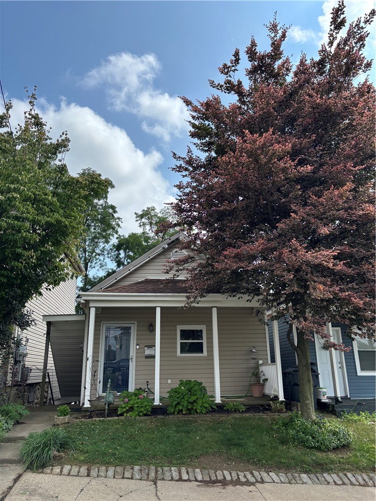 533 Finley Ave — photo