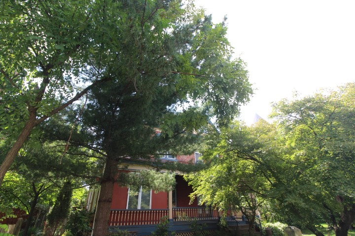 5546 Hays St — photo