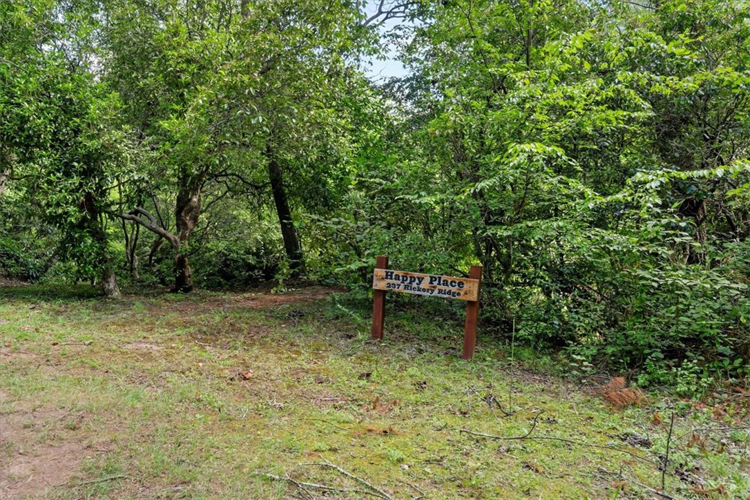 237 Hickory Ridge, Mountain Rest, SC 29664 — photo 2