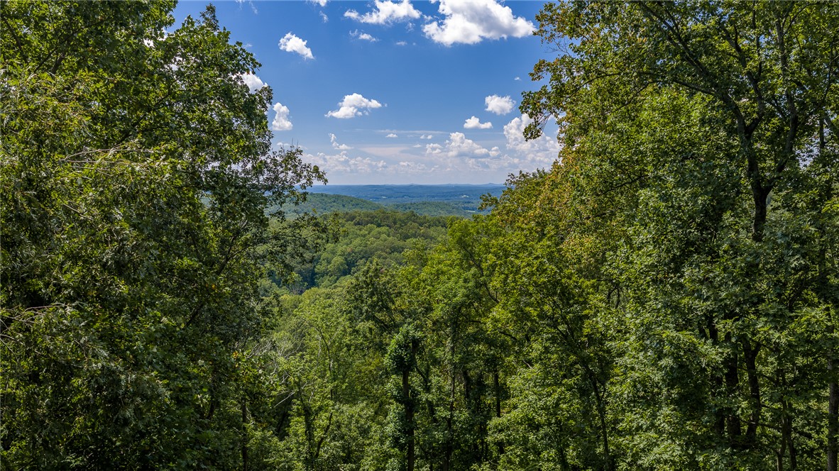 130 Raptor Way, Landrum, SC 29356 — photo 2