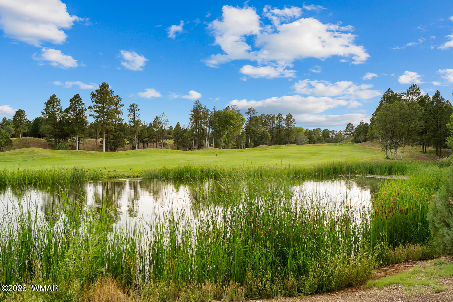 4010 Sugar Pine Loop, Show Low, AZ 85901 — photo 2