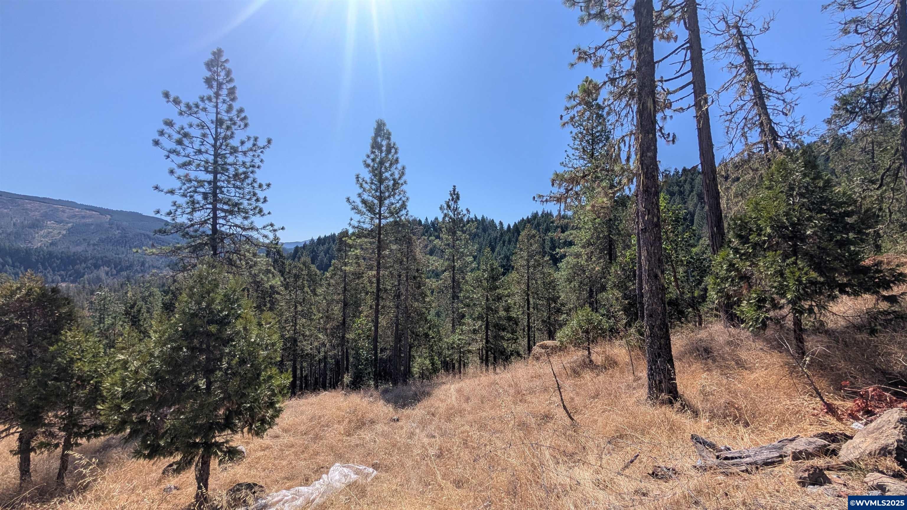 900 Old Cabin Dr — photo