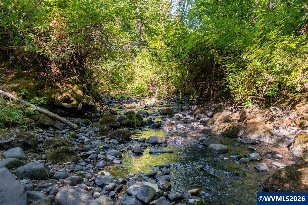 8810 Hebo (-8840) Rd, Grand Ronde, OR 97347 — photo 3