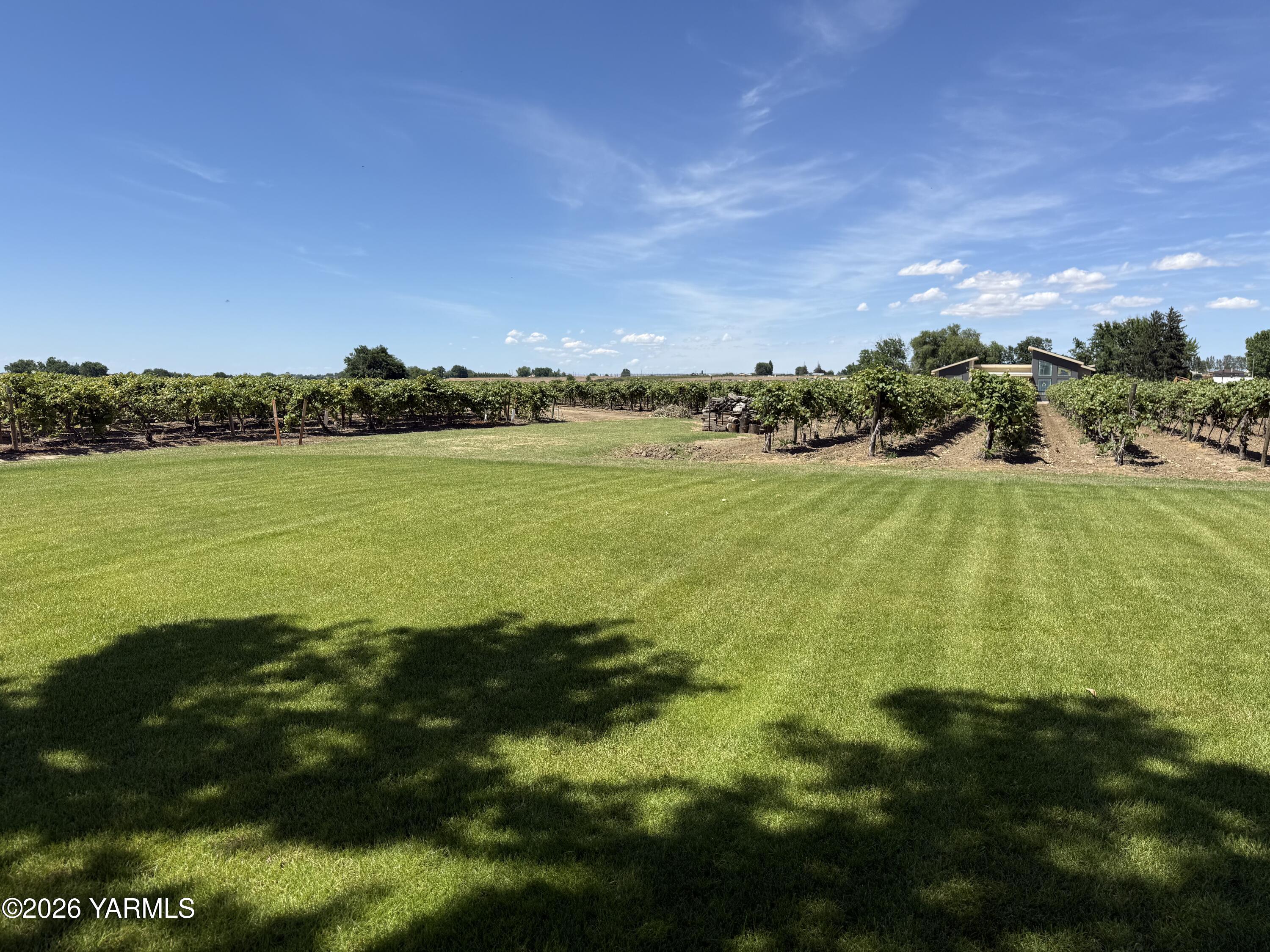 1170 Lower County Line Rd, Prosser, WA 99350 — photo 2